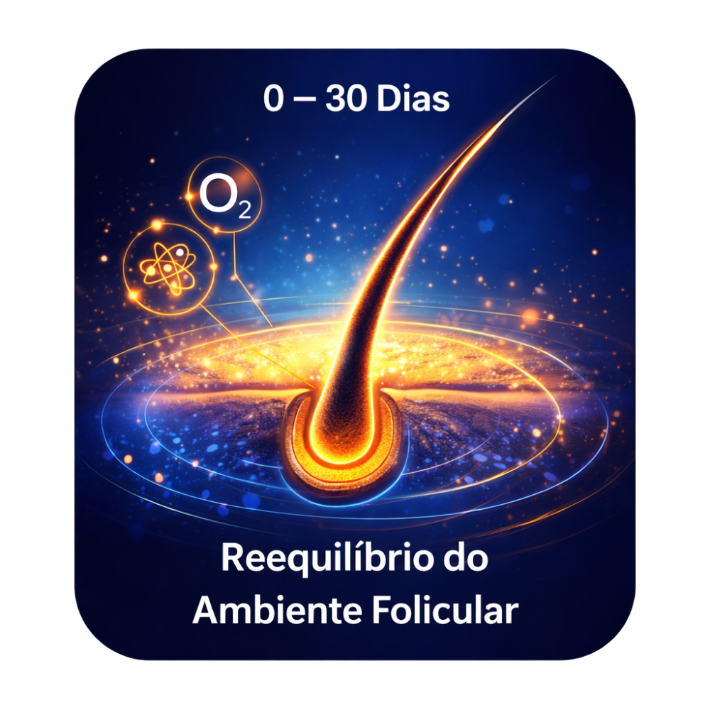 reequilibrio-sem-fundo.png